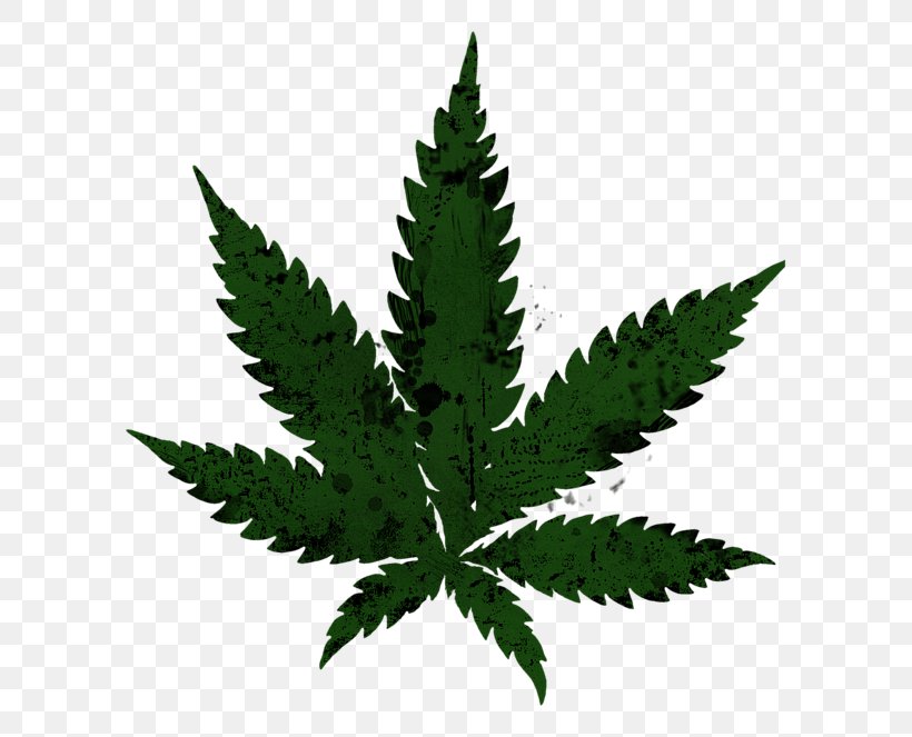 Cannabis Sativa Legalization Drawing, PNG, 600x663px, Cannabis Sativa, Cannabis, Drawing, Hemp, Hemp Family Download Free