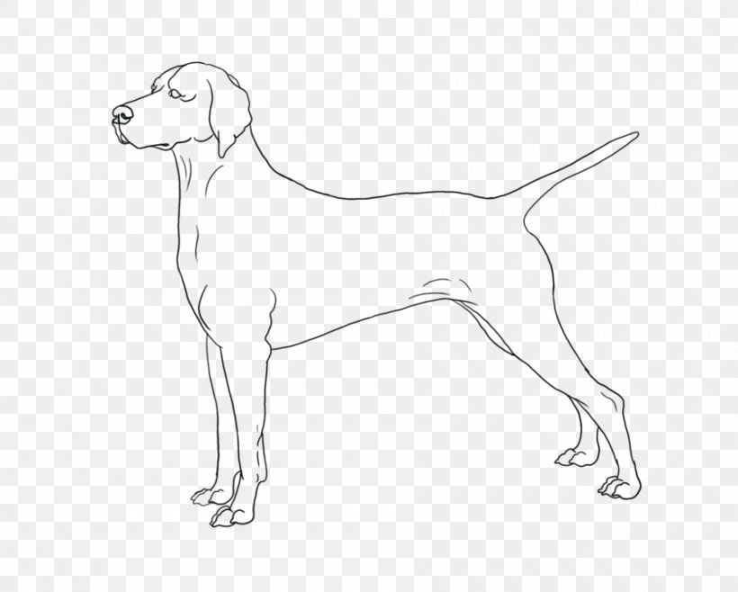Harrier Puppy Dog Breed Sporting Group Retriever, PNG, 900x723px, Harrier, Artwork, Black And White, Breed, Carnivoran Download Free