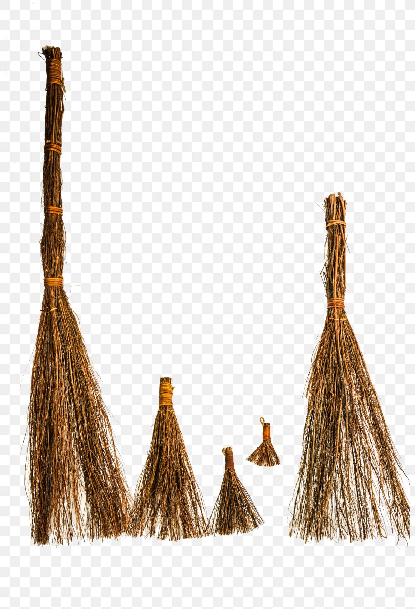 Household Cleaning Supply Broom Brown Rope, PNG, 800x1204px, Household Cleaning Supply, Broom, Brown, Cleaning, Household Download Free