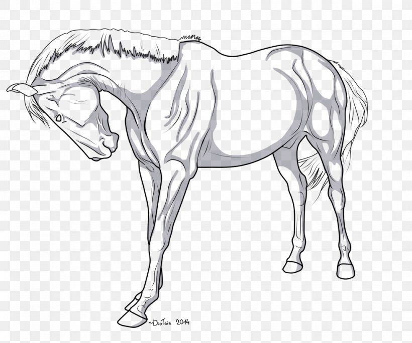 Mustang Arabian Horse Stallion Line Art American Quarter Horse, PNG, 979x817px, Mustang, American Quarter Horse, Animal Figure, Arabian Horse, Arm Download Free