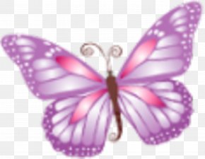 Pink Butterfly - Butterfly Download PNG