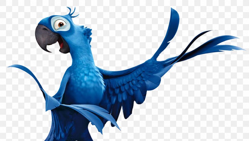 Parrot Blu Bird Rio De Janeiro Hyacinth Macaw, PNG, 1297x739px, Parrot, Animation, Beak, Bird, Blu Download Free