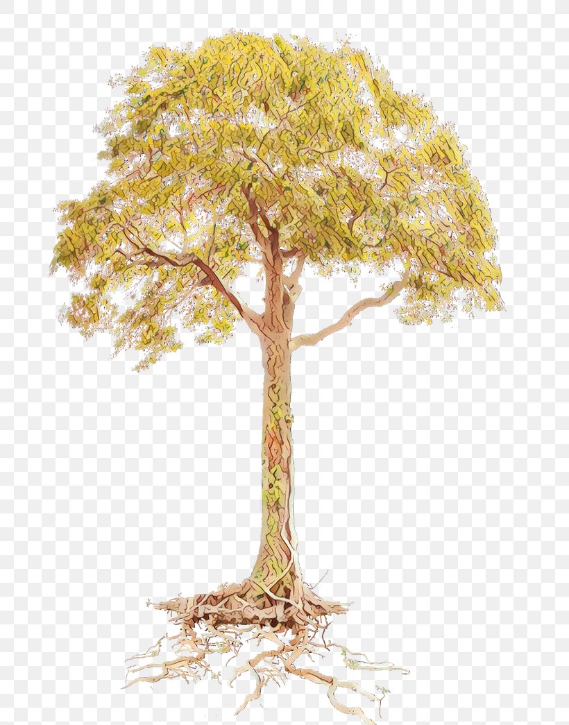 Tree Root Clip Art Branch, PNG, 764x1045px, Tree, Botany, Branch, Drawing, Flower Download Free