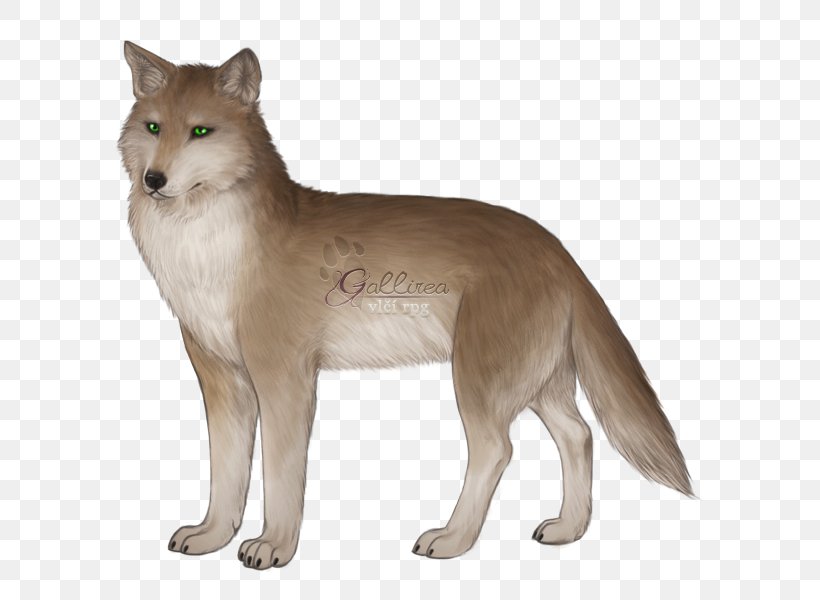 Saarloos Wolfdog Red Fox Coyote Thylacine 3D Computer Graphics, PNG, 800x600px, 3d Computer Graphics, 3d Modeling, Saarloos Wolfdog, Alaskan Tundra Wolf, American Marten Download Free