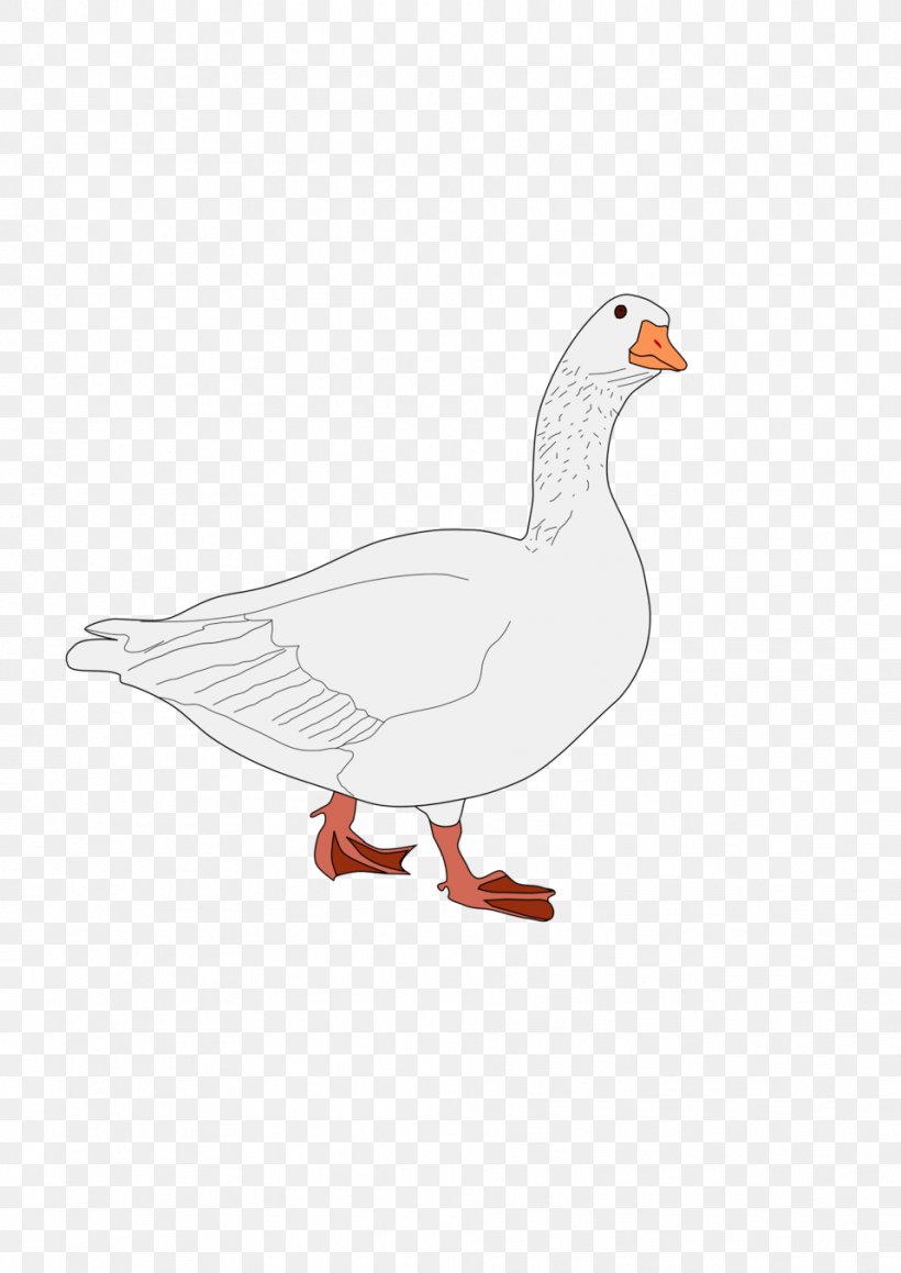 Bird Domestic Duck Goose Cygnini, PNG, 958x1355px, Bird, Anatidae, Anseriformes, Beak, Chicken Download Free