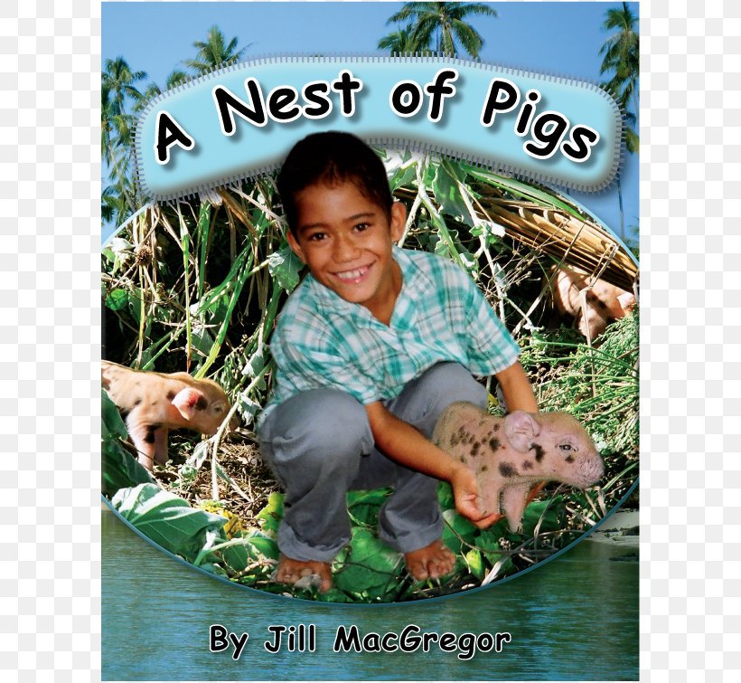 Calf And Lamb Day: A Story From New Zealand Ei For The Day: A Story From The Cook Islands A Nest Of Pigs: A Story From The Cook Islands Jill MacGregor, PNG, 715x755px, Cook Islands, Ball, Book, Child, Fauna Download Free