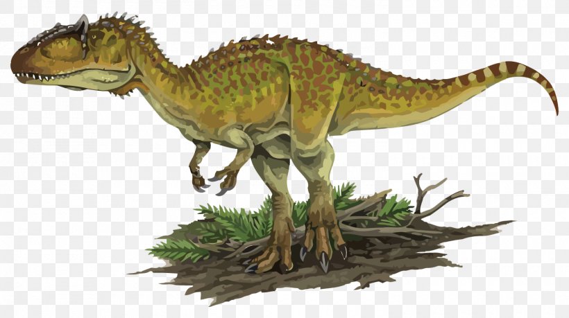 Carcharodontosaurus Kelmayisaurus Acrocanthosaurus Tyrannosaurus Giganotosaurus, PNG, 1500x841px, Carcharodontosaurus, Acrocanthosaurus, Allosauridae, Allosaurus, Apatosaurus Download Free
