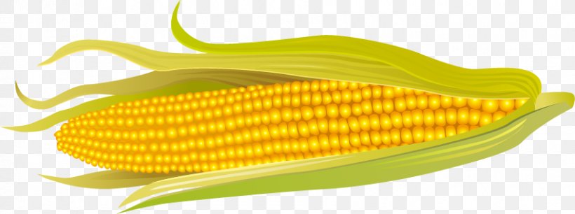 Corn On The Cob Maize Wheat Price, PNG, 850x318px, Corn On The Cob, Agriculture, Animation, Commodity, Fodder Download Free