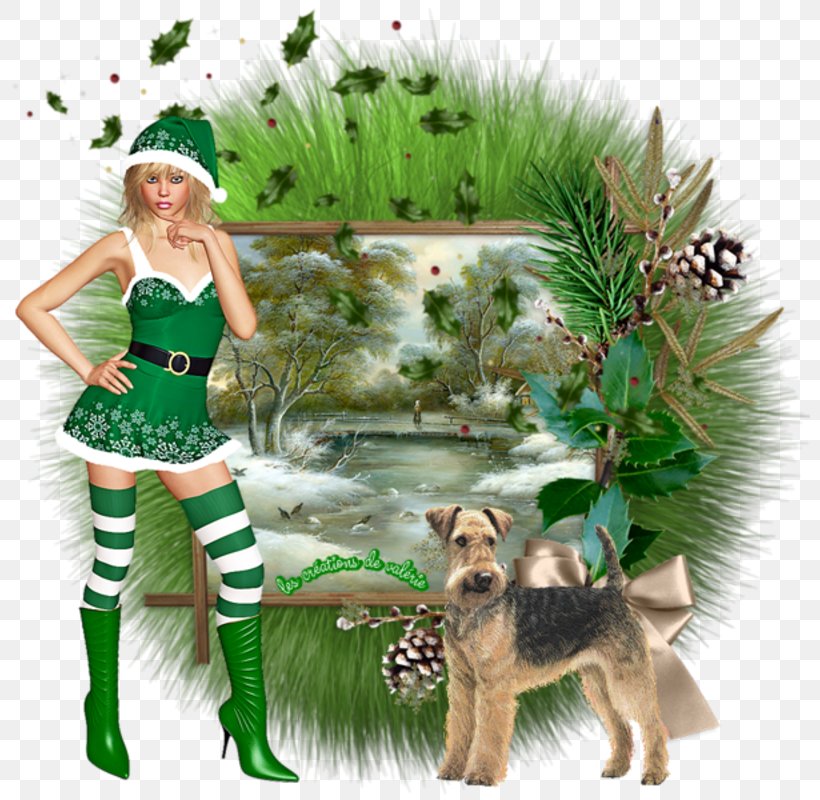 Dog Christmas Ornament Wildlife, PNG, 800x800px, Dog, Christmas, Christmas Decoration, Christmas Ornament, Dog Like Mammal Download Free