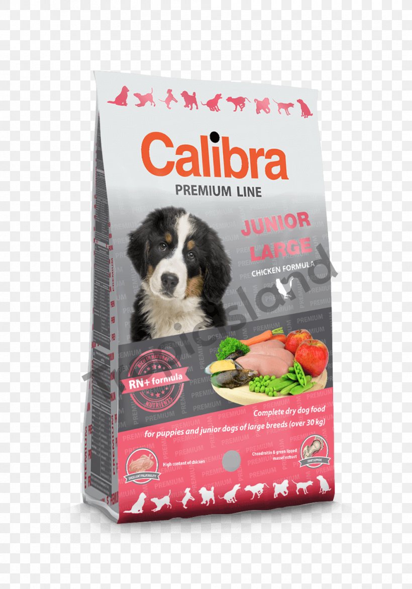 Dog Puppy Cat Food Fodder Breeder, PNG, 992x1417px, Dog, Breed, Breeder, Cat, Cat Food Download Free