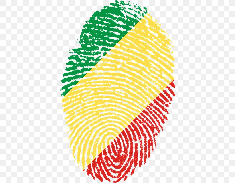 Flag Of The United Arab Emirates Fingerprint Flag Of Brazil, PNG, 404x640px, United Arab Emirates, Area, Fingerprint, Flag, Flag Of Armenia Download Free