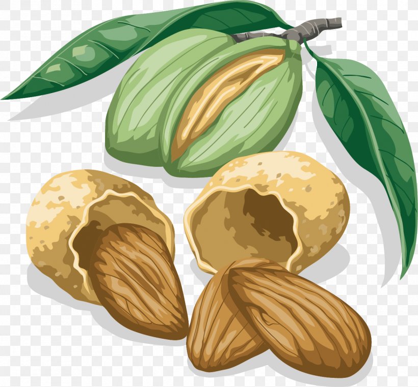 Walnut Almond, PNG, 1321x1227px, Walnut, Almond, Commodity, Food, Fruit Download Free