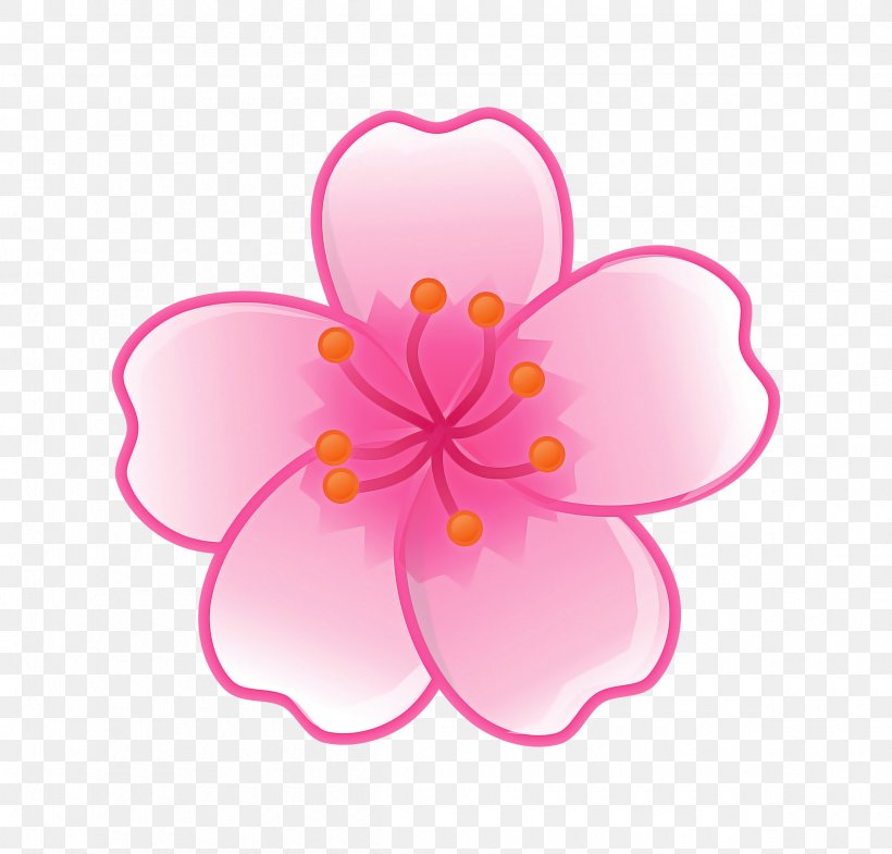 Cherry Blossom, PNG, 2400x2300px, Pink, Blossom, Cherry Blossom, Flower, Petal Download Free