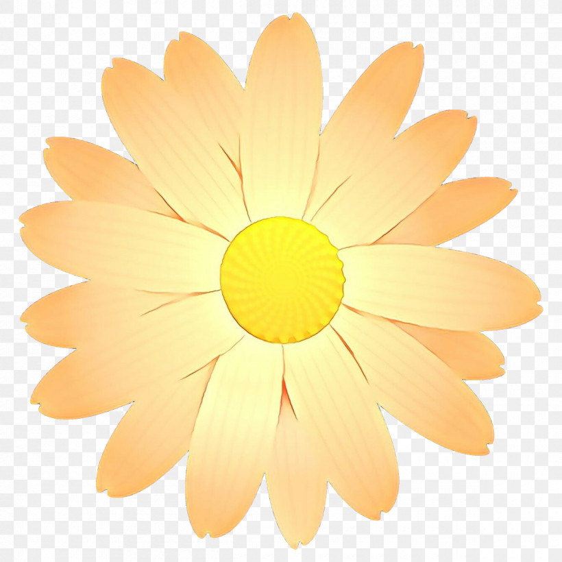 Daisy, PNG, 1200x1200px, Yellow, Chamomile, Daisy, Flower, Gerbera Download Free