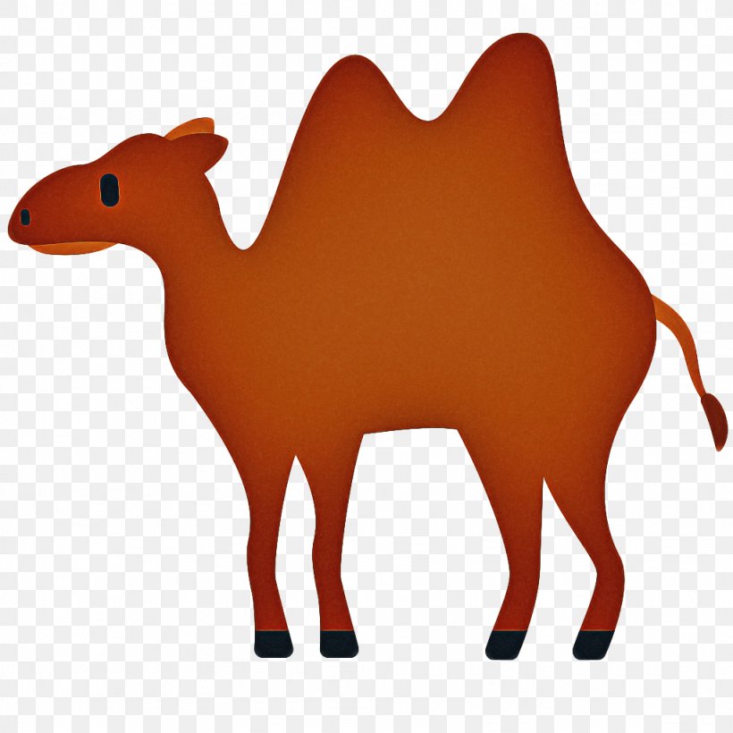 Emoji Background, PNG, 1024x1024px, Bactrian Camel, Animal Figure, Arabian Camel, Bactria, Camel Download Free