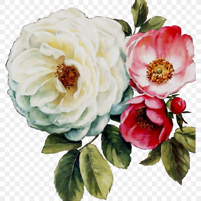 Garden Roses Cabbage Rose Floribunda Floral Design Flower, PNG, 1888x1888px, Garden Roses, Artificial Flower, Cabbage Rose, Camellia, Chinese Peony Download Free
