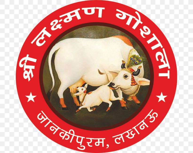 Vrindavan Gyr Cattle Krishna Goshala, PNG, 686x649px, Vrindavan, Ashram, Bull, Cattle, Cow Protection Movement Download Free