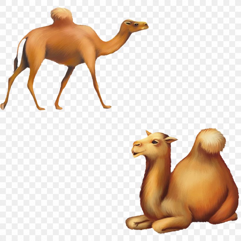 Cartoon Silhouette Illustration, PNG, 1000x1000px, Cartoon, Animal, Arabian Camel, Art, Bactrian Camel Download Free