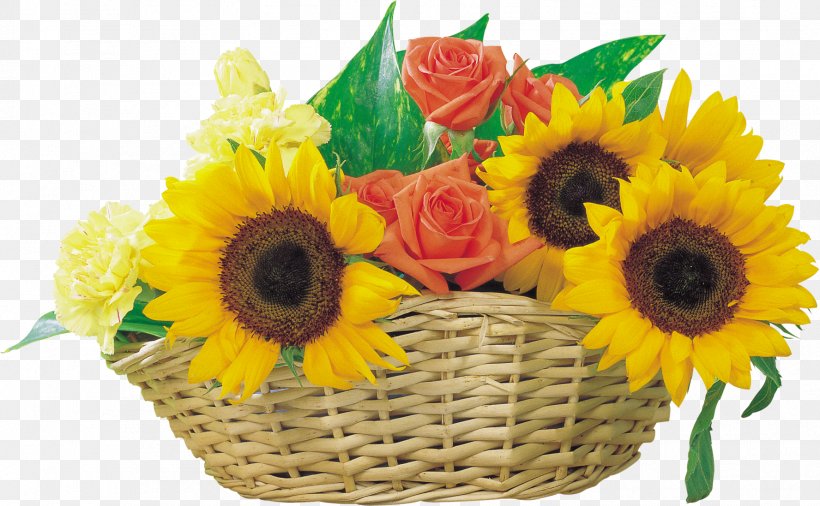 Common Sunflower Clip Art, PNG, 1776x1097px, Common Sunflower, Artificial Flower, Cut Flowers, Floral Design, Floristry Download Free