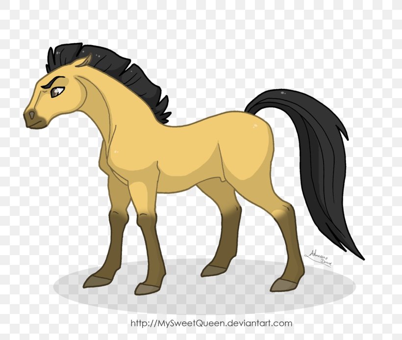 Mustang Pony Mule Stallion Drawing, PNG, 800x693px, Mustang, Animal Figure, Art, Colt, Deviantart Download Free