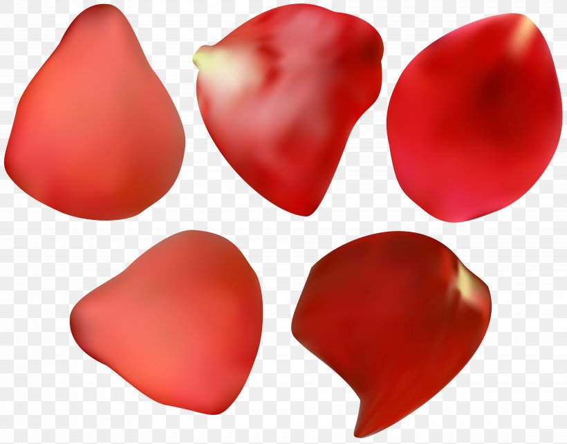 Petal Rose Flower Clip Art, PNG, 8000x6269px, Petal, Flower, Heart, Red, Rose Download Free