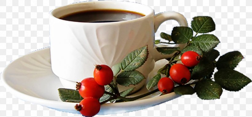 Tea Coffee Rose Hip Cup, PNG, 828x386px, Tea, Auglis, Cherry, Coffee, Coffee Cup Download Free
