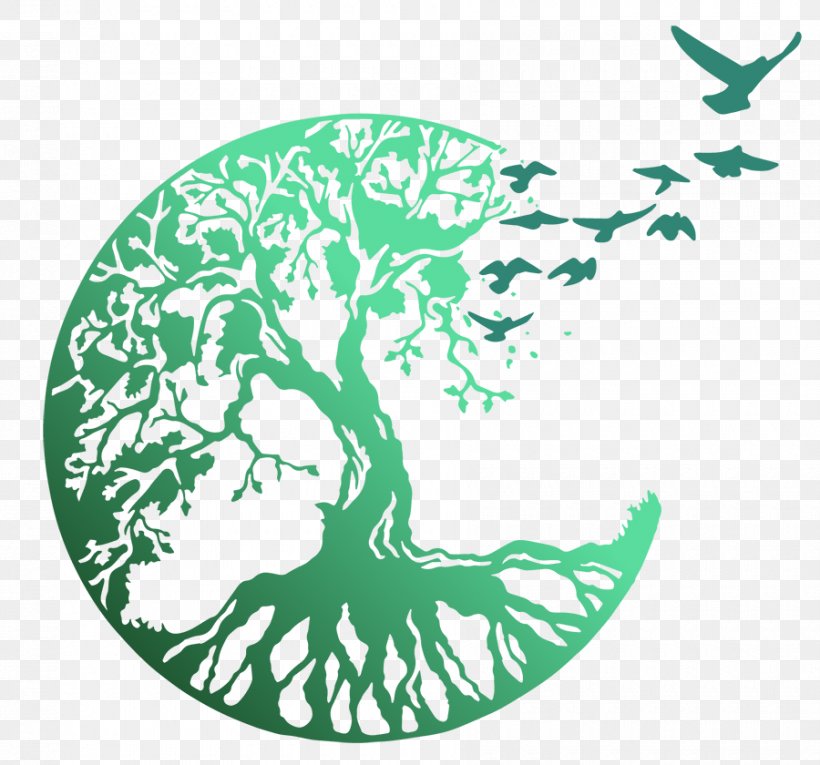 Tree Of Life Celtic Sacred Trees Symbol Image, PNG, 900x840px, Tree Of Life, Aqua, Area, Art, Branch Download Free