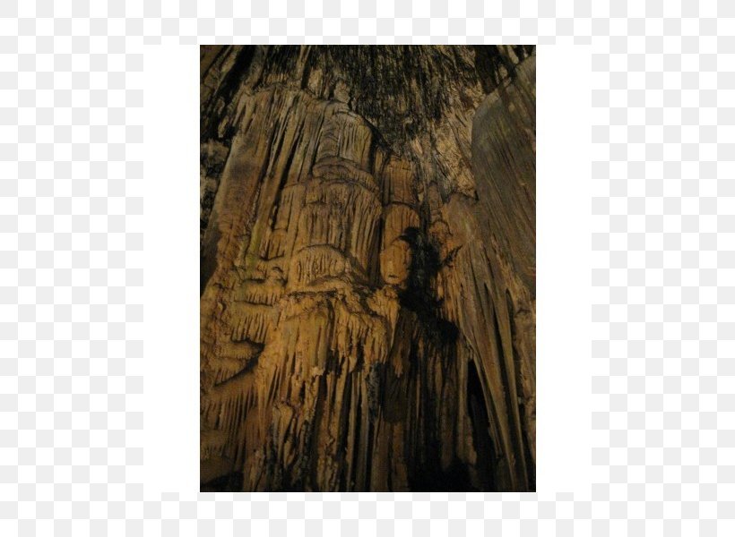 Wood /m/083vt, PNG, 800x600px, Wood, Cave, Formation, Rock, Tree Download Free