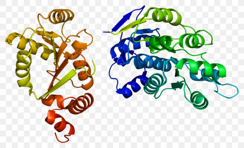 DDX3X Helicase DDX3Y DEAD Box Gene, PNG, 1168x712px, Helicase, Area, Art, Artwork, Dead Box Download Free