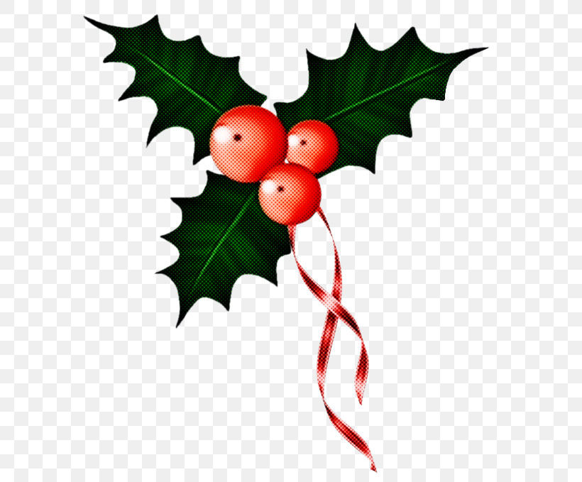 Holly, PNG, 600x679px, Holly, American Holly, Branch, Flower, Hollyleaf Cherry Download Free