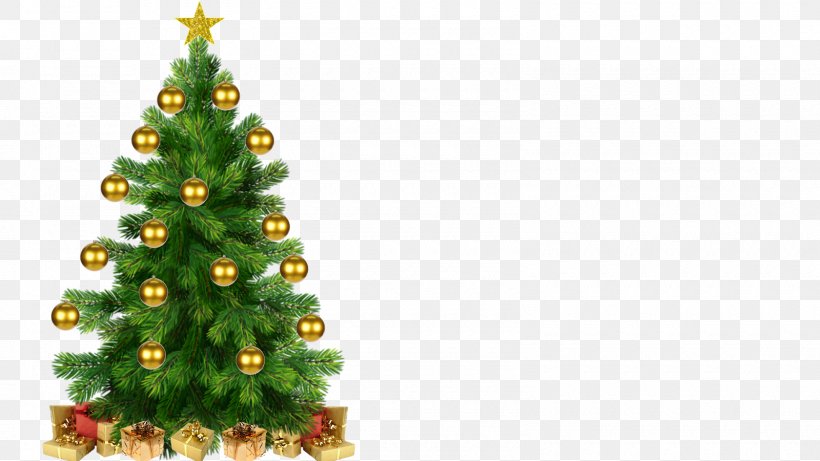 Christmas Tree Christmas Decoration Christmas Ornament, PNG, 1600x900px, Christmas Tree, Christmas, Christmas Decoration, Christmas Ornament, Conifer Download Free