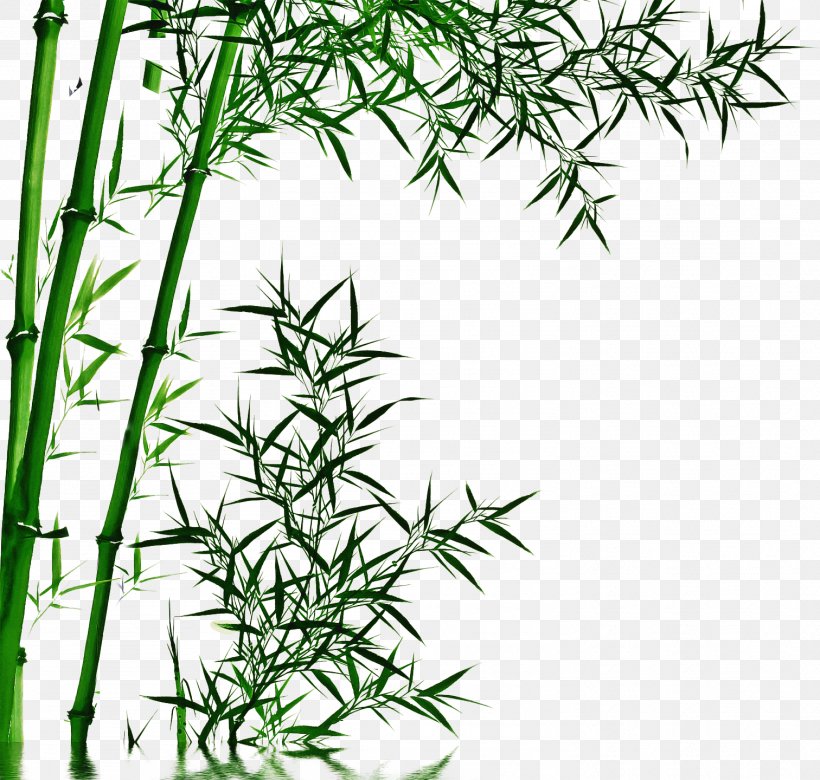 Drawing Bambusoideae Television Chinese Painting, PNG, 1512x1440px, Drawing, Bamboo, Bambusoideae, Chinese Painting, Cleavers Download Free
