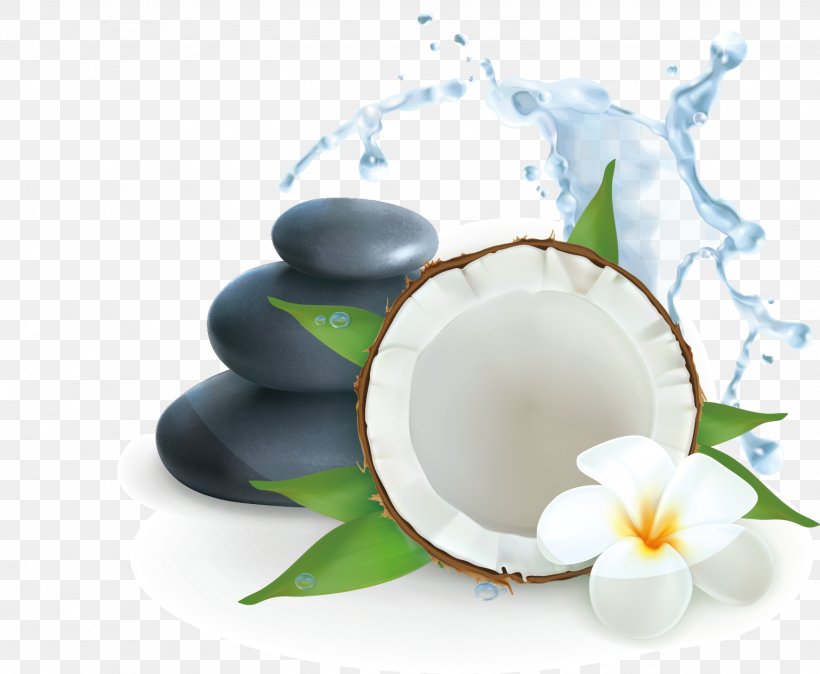 Coconut Water Illustration, PNG, 1538x1265px, Drawing, Cup, Dinnerware Set, Dishware, Music Download Download Free