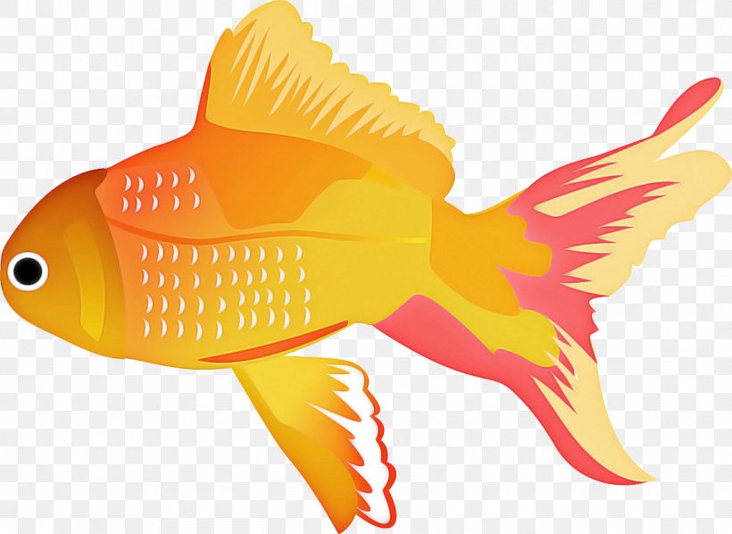 Fish Fish Fin Goldfish Butterflyfish, PNG, 1144x835px, Fish, Animal Figure, Bonyfish, Butterflyfish, Coral Reef Fish Download Free