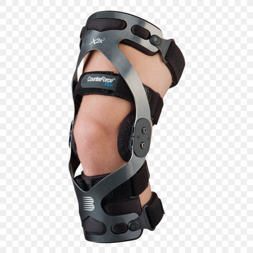 Knee Osteoarthritis Anterior Cruciate Ligament Breg, Inc., PNG, 1024x1024px, Knee, Anterior Cruciate Ligament, Anterior Cruciate Ligament Injury, Arm, Breg Inc Download Free