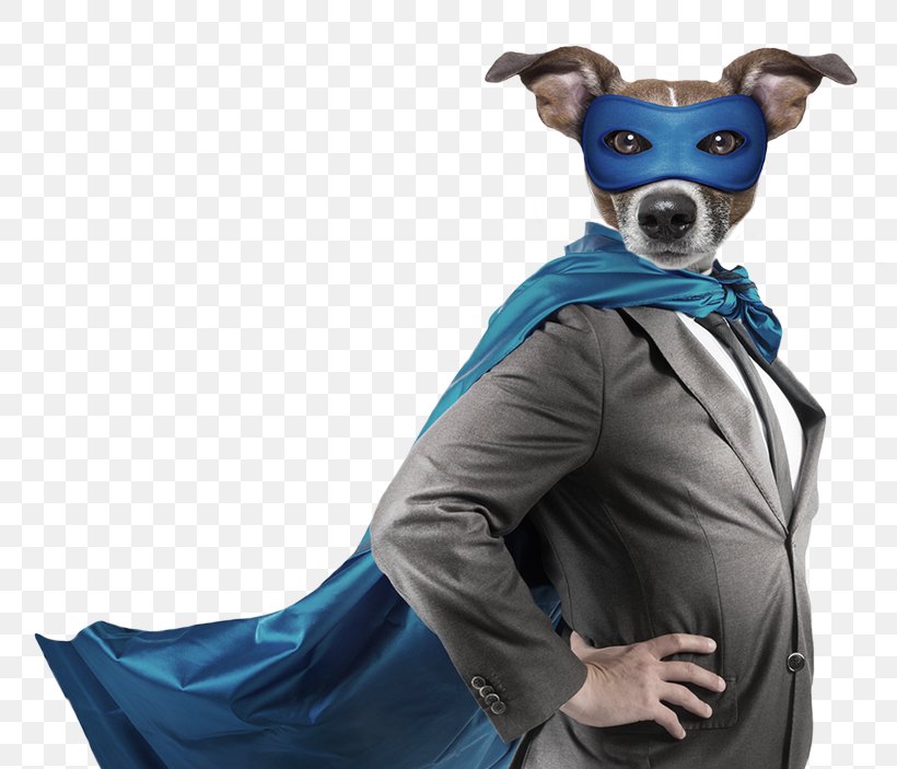 Leadership Organization Italian Greyhound Strategy Strategic Planning, PNG, 800x703px, Leadership, Attention, Computer Software, Costume, Dog Download Free