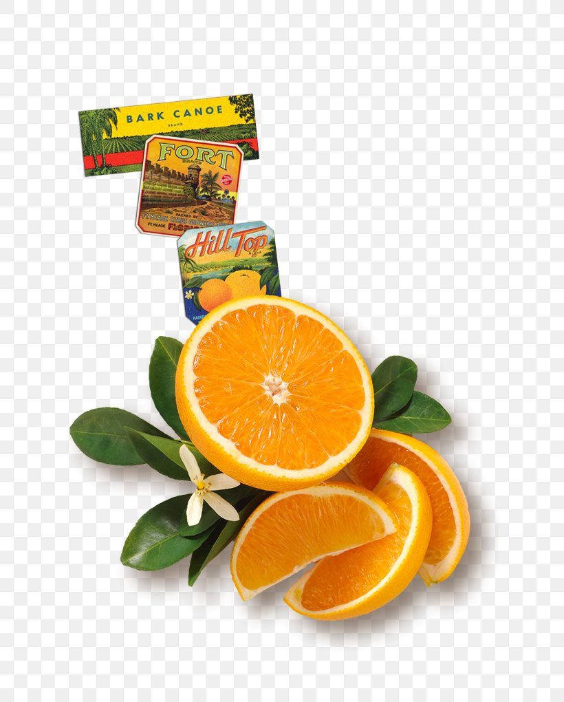 Orange Juice Florida's Natural Growers Minute Maid, PNG, 631x1020px, Orange, Citric Acid, Citrus, Concentrate, Dessert Download Free