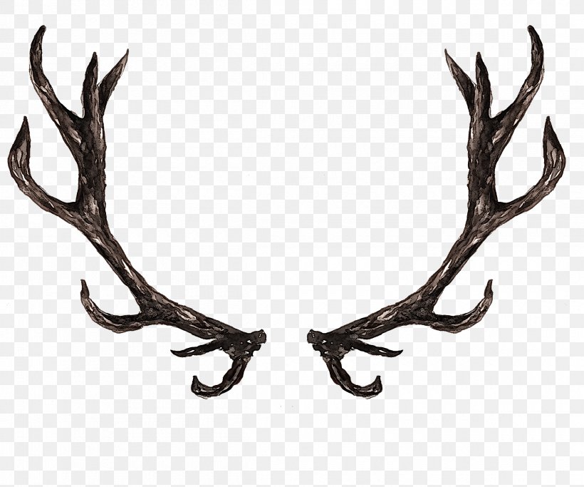 Horn Antler Elk, PNG, 2400x2000px, Horn, Antler, Elk Download Free