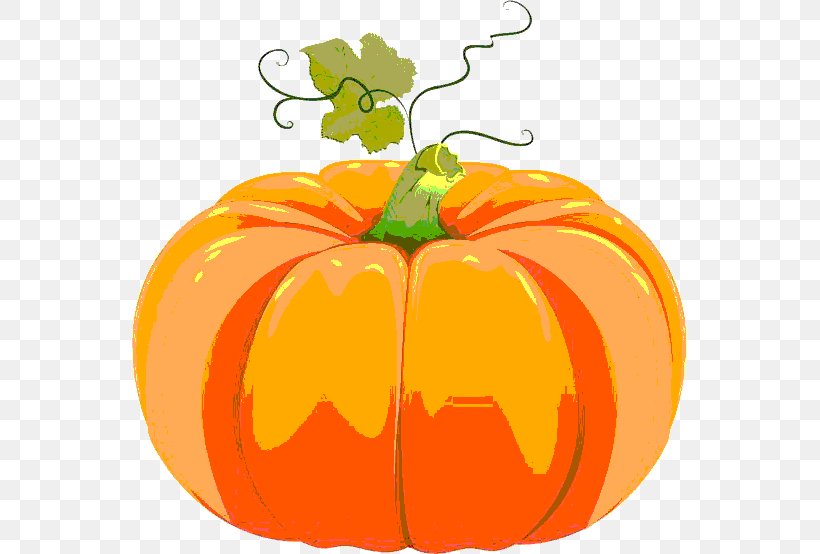 Pumpkin Download Cucurbita Pepo Clip Art, PNG, 555x554px, Pumpkin, Apple, Bell Peppers And Chili Peppers, Calabaza, Commodity Download Free