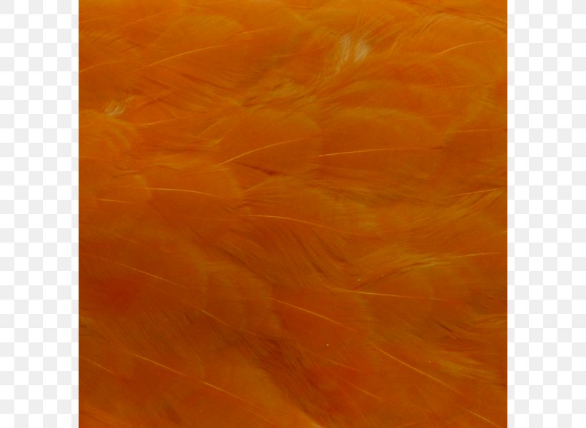 Acrylic Paint Wood /m/083vt Acrylic Resin Brown, PNG, 800x600px, Acrylic Paint, Acrylic Resin, Brown, Orange, Paint Download Free