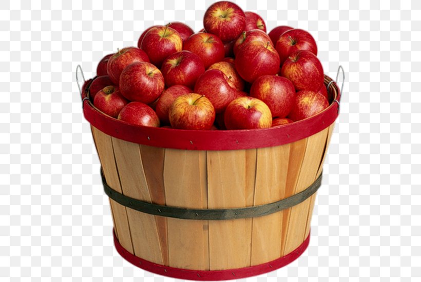 Braeburn The Basket Of Apples Granny Smith, PNG, 525x550px, Braeburn, Apple, Basket, Basket Of Apples, Cranberry Download Free