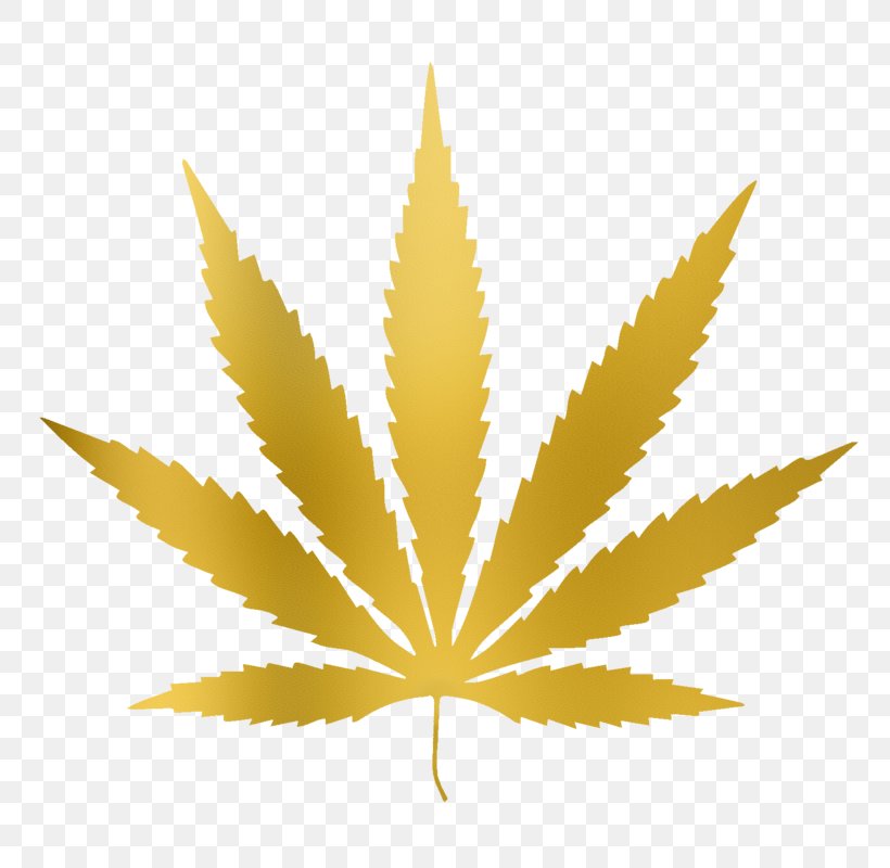 Family Tree Background, PNG, 800x800px, Cannabis, Cannabis Sativa, Cannabis Smoking, Flowering Plant, Hemp Download Free