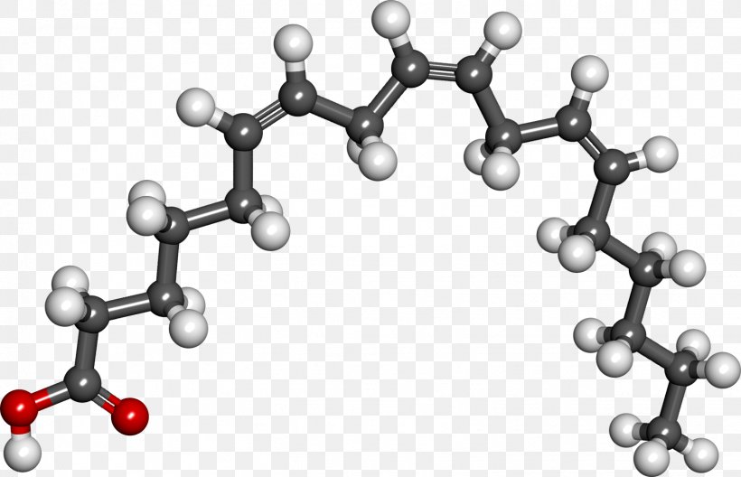 Gamma-Linolenic Acid Alpha-Linolenic Acid Linoleic Acid Fatty Acid, PNG, 1553x1000px, Gammalinolenic Acid, Acid, Alphalinolenic Acid, Arachidonic Acid, Black And White Download Free