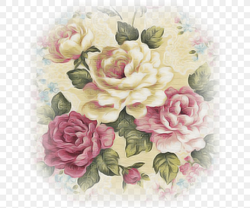 Garden Roses, PNG, 650x684px, Cabbage Rose, Artificial Flower, Cut Flowers, Floral Design, Flower Download Free
