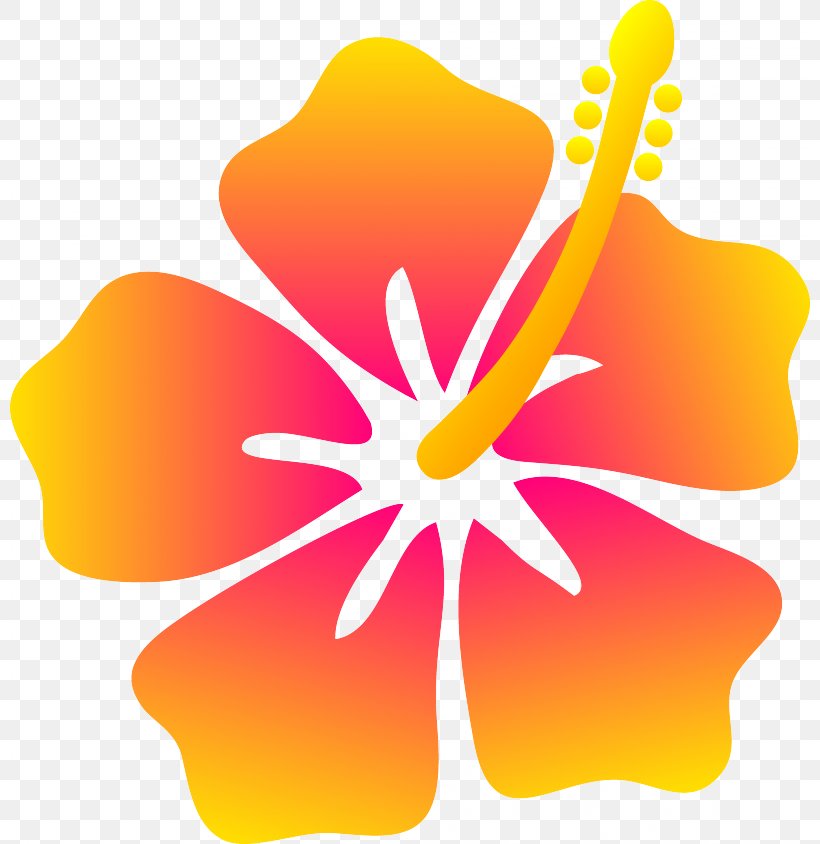 Hawaiian Hibiscus Clip Art, PNG, 800x844px, Hawaii, Blog, Computer, Cuisine Of Hawaii, Cut Flowers Download Free