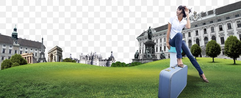 Lawn, PNG, 1248x512px, Lawn, Architecture, Energy, Grass, Information Download Free