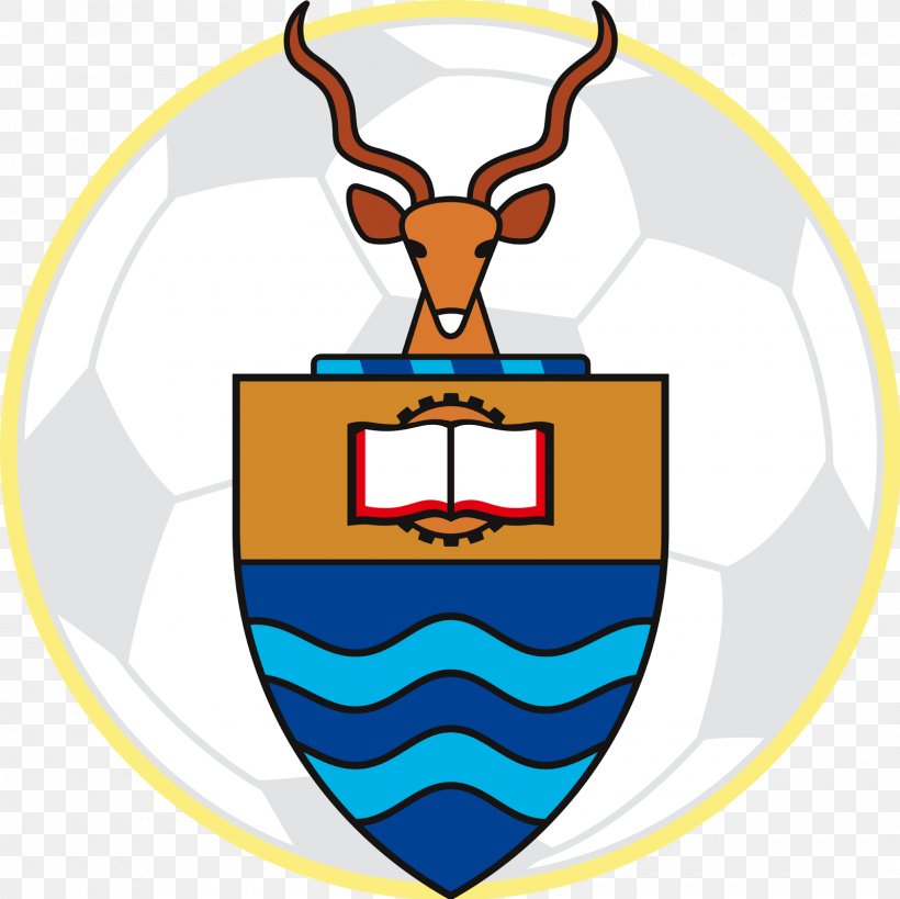 University Of The Witwatersrand Bidvest Wits F.C. University Of Sheffield Doctor Of Philosophy, PNG, 1600x1600px, University Of The Witwatersrand, Academic Degree, Antler, Area, Artwork Download Free