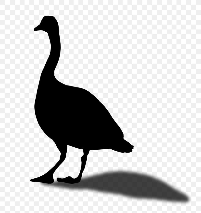 Duck Goose Clip Art Fauna Silhouette, PNG, 800x867px, Duck, Beak, Bird, Blackandwhite, Ducks Geese And Swans Download Free