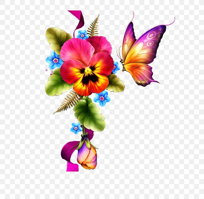 Flower Clip Art, PNG, 800x800px, Flower, Butterfly, Cut Flowers, Flora, Floral Design Download Free
