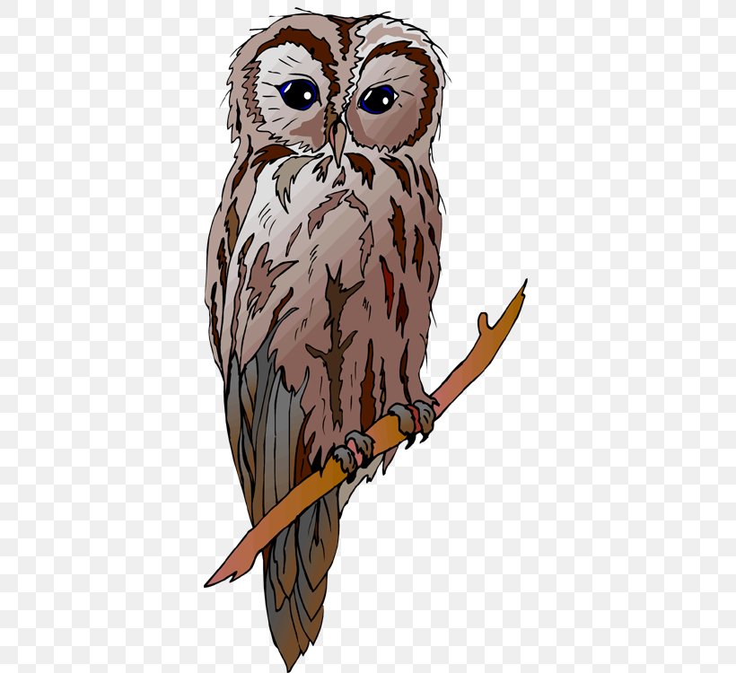 Great Horned Owl Drawing Clip Art, PNG, 366x750px, Owl, Animal, Art, Beak, Bird Download Free
